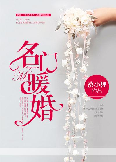 名门暖婚燕少