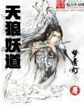 天狼tⅴ