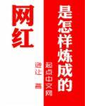 网红是怎样炼成的 是讲了个什么故事