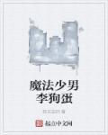 魔法少男txt