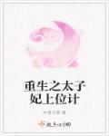 重生之太子妃谋夺天下