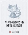 当哈利波特来到中国