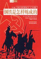 钢铁是怎样炼成的第九章概括