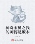 神奇宝贝之我的师傅是坂木 巽煜