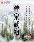 武宗武王武尊武圣玄幻