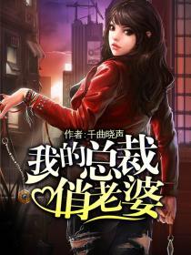 我的总裁老婆全文免费阅读