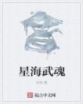 星海武器