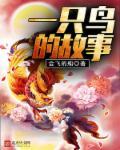 关于一只鸟的故事