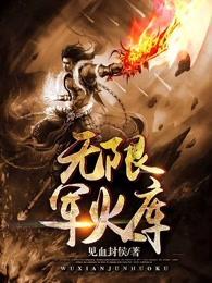 无限军火库系统免费阅读
