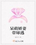 呆萌宠妻