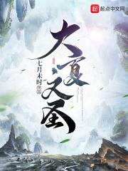 大夏文圣电子书TXT