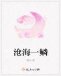 沧海一鳞 三君子打三个数字