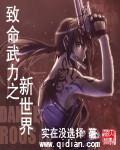 致命武力和致命武力新世界的区别