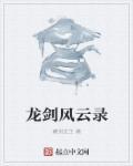 风云第三部剑圣龙儿