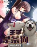 王子犬是什么品种