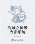 海贼王之火影系统