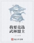 什么武林盟主