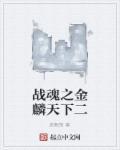 战魂之金麟天下偷得浮生半日闲出现在哪章