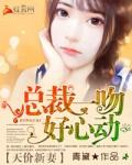天价宠总裁的新妻