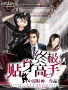 终极高手在线阅读