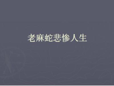 麻蛇被催更