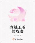冷峻王爷的俏皮王妃