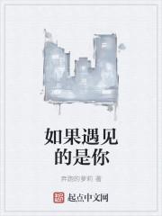 如果遇见你遇见你歌词