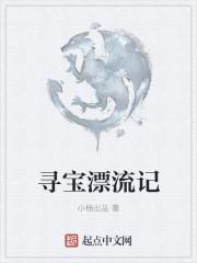 寻宝记小视频