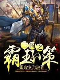 三国霸王孙策
