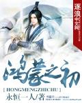 鸿蒙之上