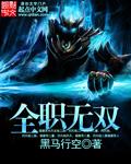 全职无双txt