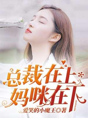 总裁在上我在下名字