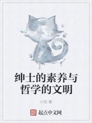 绅士文化的意义与价值