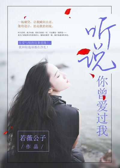听说你曾经也爱上过她什么歌