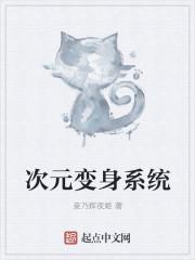 次元衍射变体