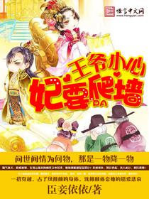 这个王妃有点冷