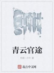 官途 青云直上