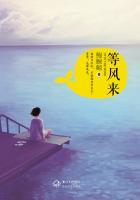 等风来by小松白