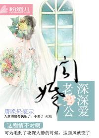 闪婚总裁老公深深爱
