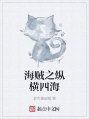 海贼王之纵横海贼世界