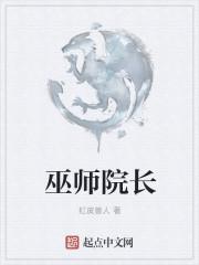 巫师原价