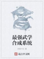 武学融合系统