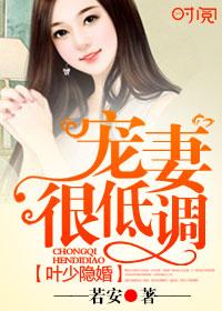 叶少宠妻不腻