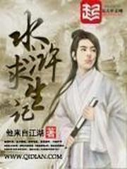 水浒求生记之王途霸业
