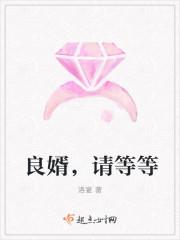良婿的男主是谁