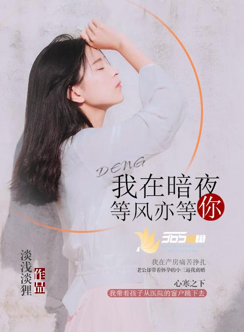 我在等风也等你的前一句是什么