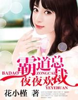 第一章霸道总裁夜夜来